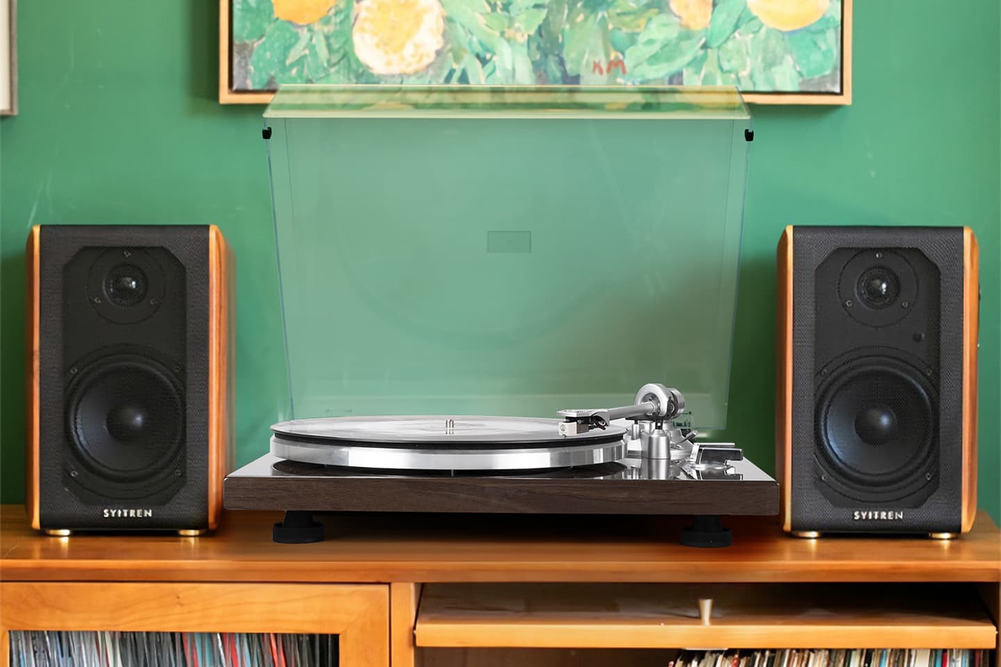 The Vinyl Revival: Classics in the Digital Age